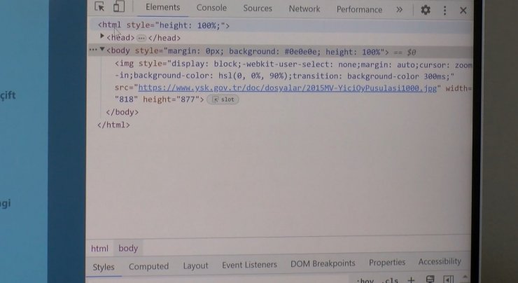 "Seçmen kaydınızı sorgulayın" tuzağı