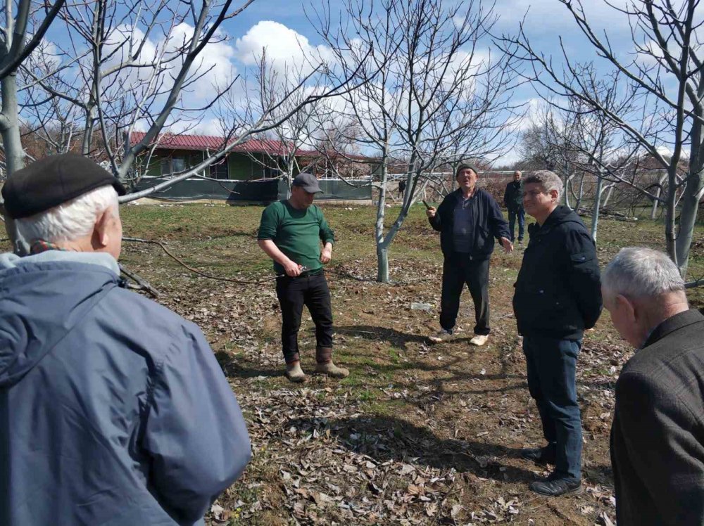 Konya'da üreticilere uygulamalı eğitim