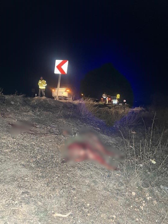 Nevşehir’de başıboş köpek kazaya neden oldu