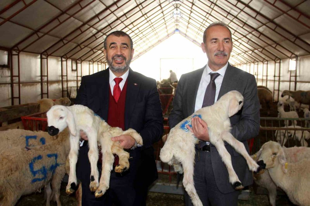 Elde edilen gelir burs olarak verilecek