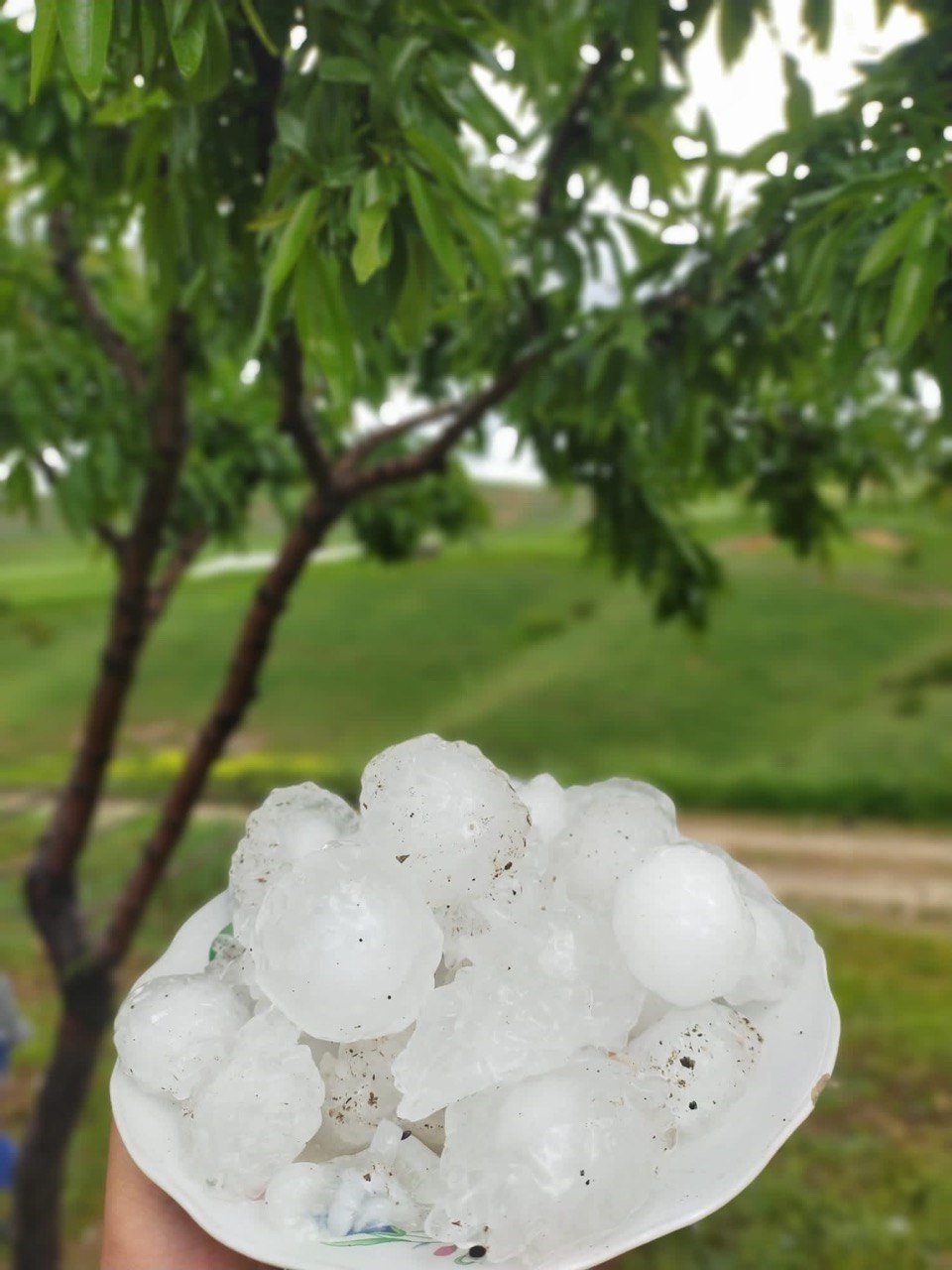 Adıyaman’a ceviz büyüklüğünde dolu yağdı