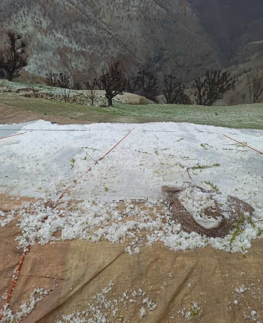 Ceviz büyüklüğünde dolu yağdı