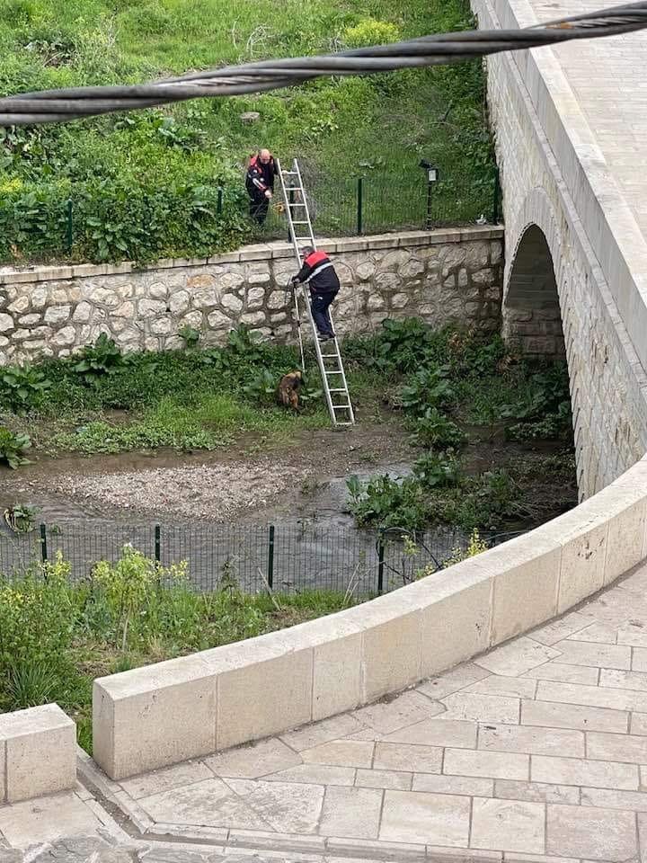 Yürek ısıtan operasyon