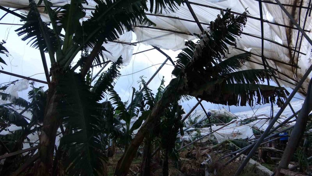 Hortumun yıkıp geçtiği sera sahipleri yaşadıklarını anlattı