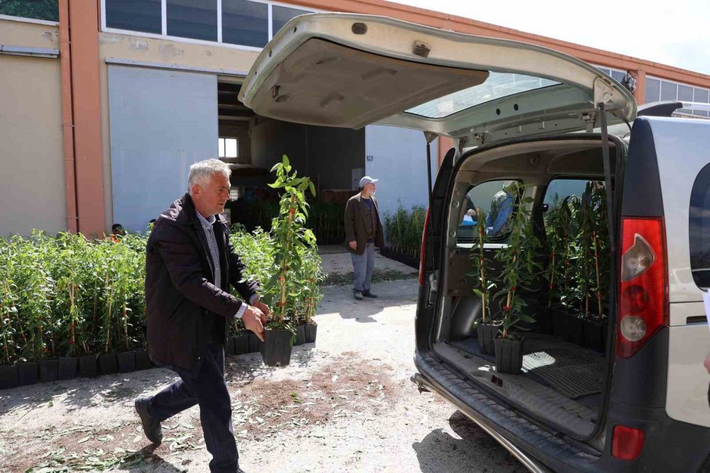 Konya Büyükşehir, 31 ilçede üreticiye destek oluyor