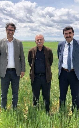 Konya İl Tarım Müdürlüğü ekipleri ekilen mahsulleri incedi