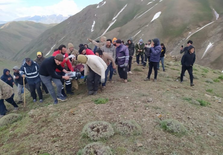 Çobanların üzerlerine yıldırım düştü