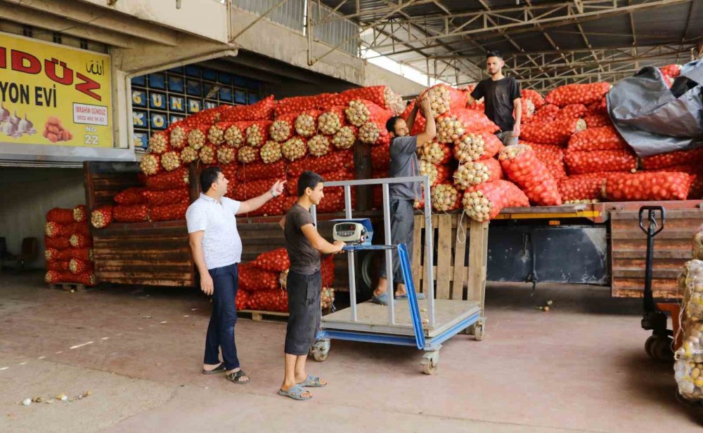 Soğan fiyatları gündemden düşecek