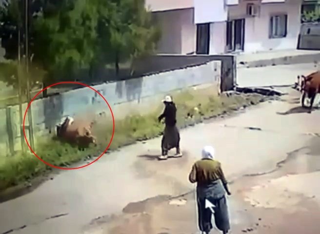 Elektrik akımına kapıldı! O anlar kamerada