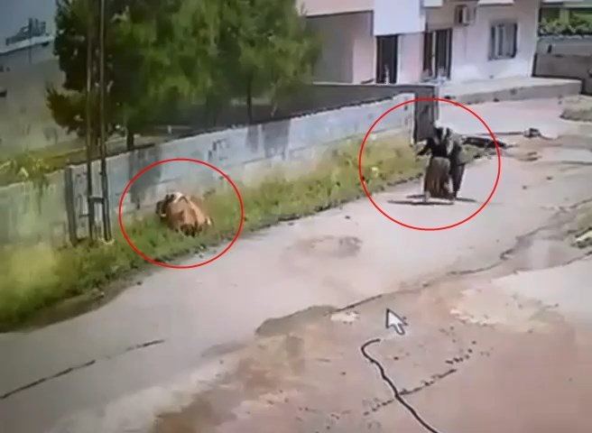 Elektrik akımına kapıldı! O anlar kamerada