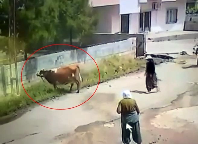 Elektrik akımına kapıldı! O anlar kamerada