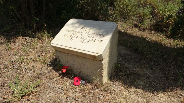 Çanakkale Savaşları'nda adına mezar taşı olan tek savaş atı; 'Bill'