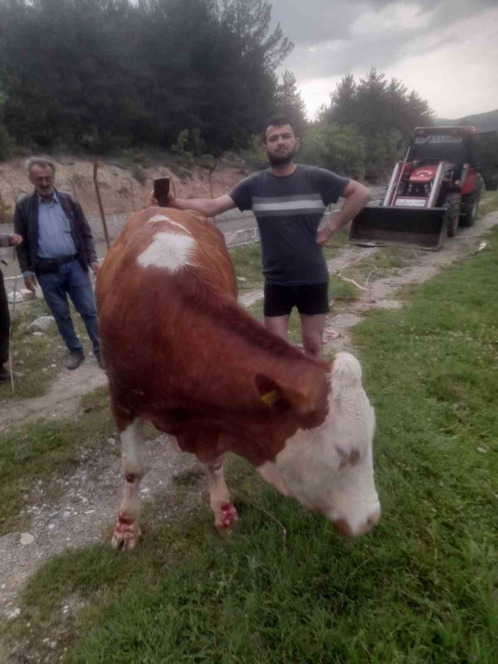 Kanaldan köylülerin çabasıyla kurtarıldı