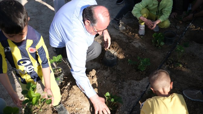 Konya'da gençler her yıl ürettikleri sebzeleri ihtiyaç sahiplerine dağıtıyor