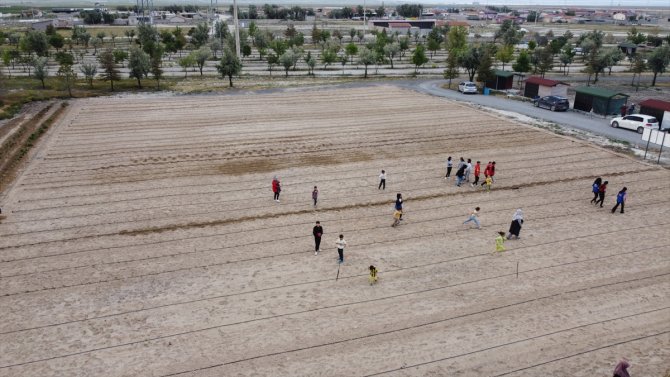 Konya'da gençler her yıl ürettikleri sebzeleri ihtiyaç sahiplerine dağıtıyor