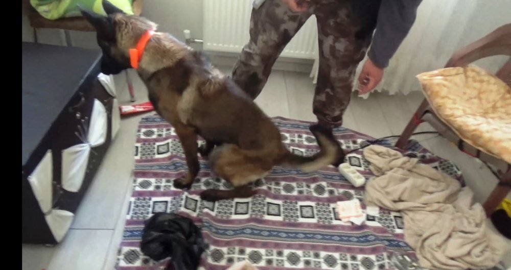 18 adrese yönelik eş zamanlı uyuşturucu operasyonu: 12 tutuklama