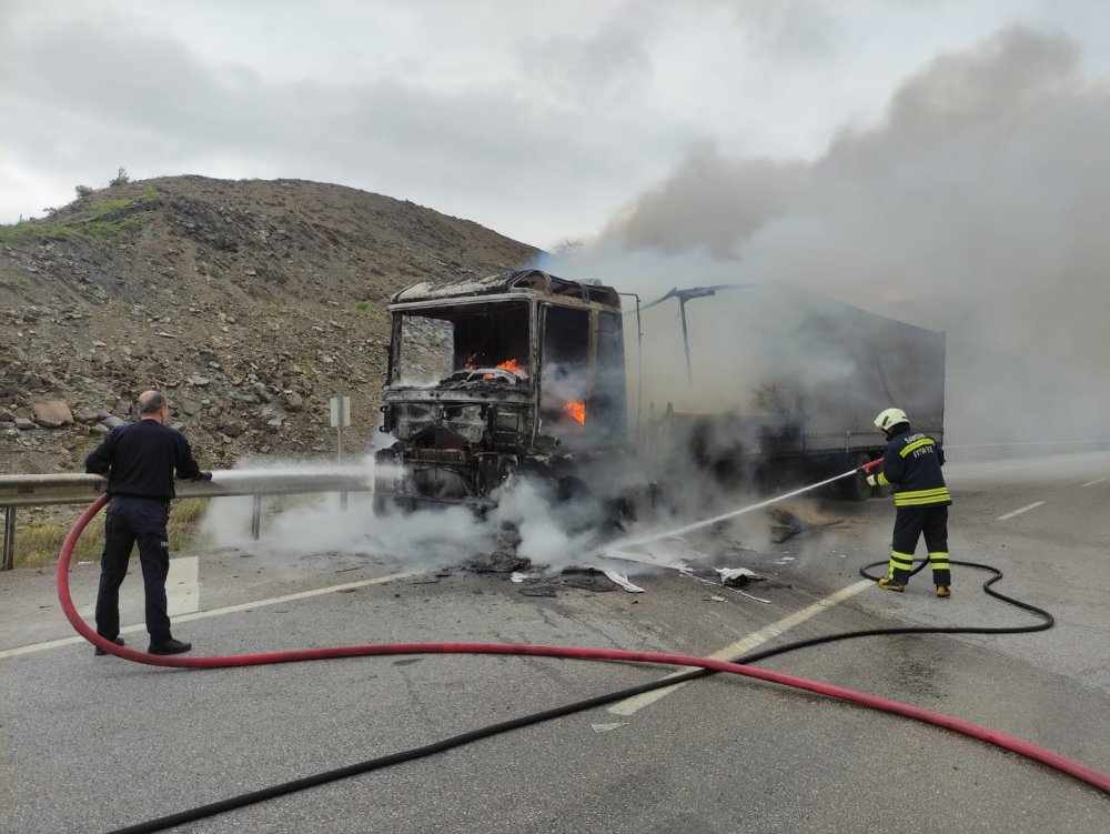 Seyir halinde alev alan TIR yandı