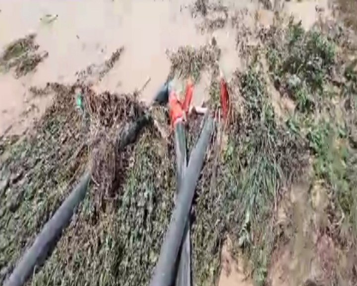 Konya'da dolu ve sel çiftçiyi vurdu