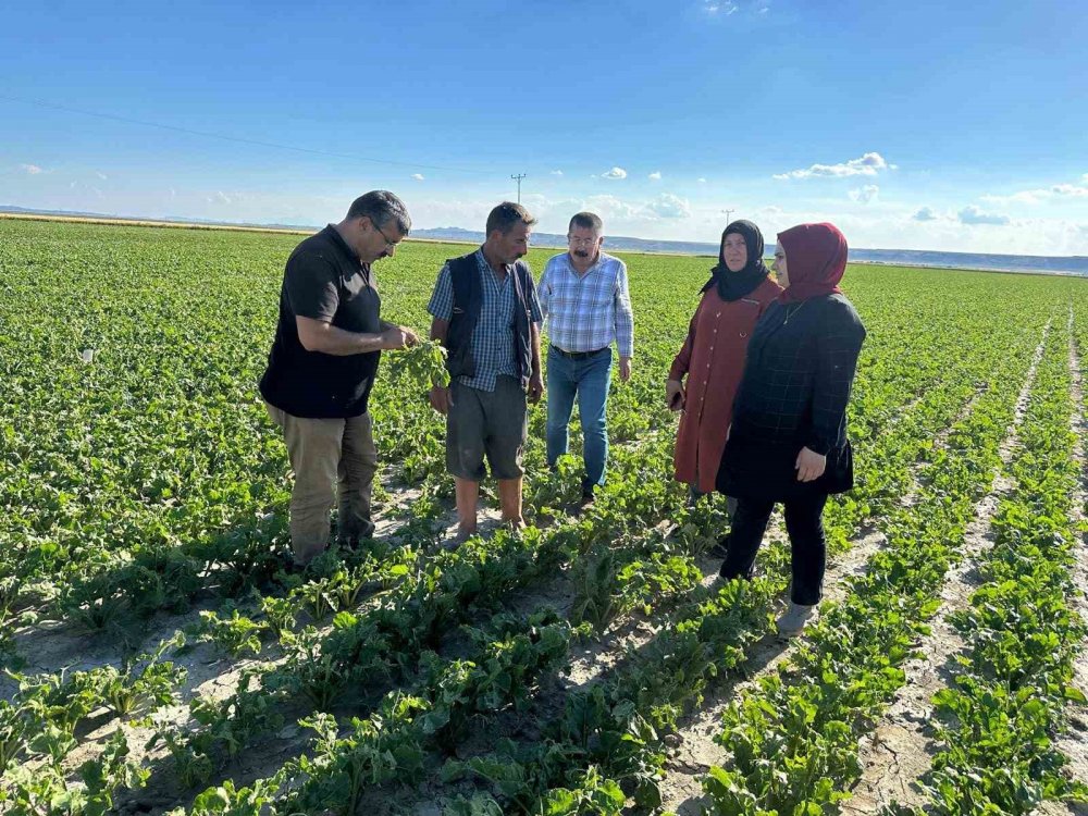 Konya Karapınar’da yoğun yağış alan tarım alanları incelendi