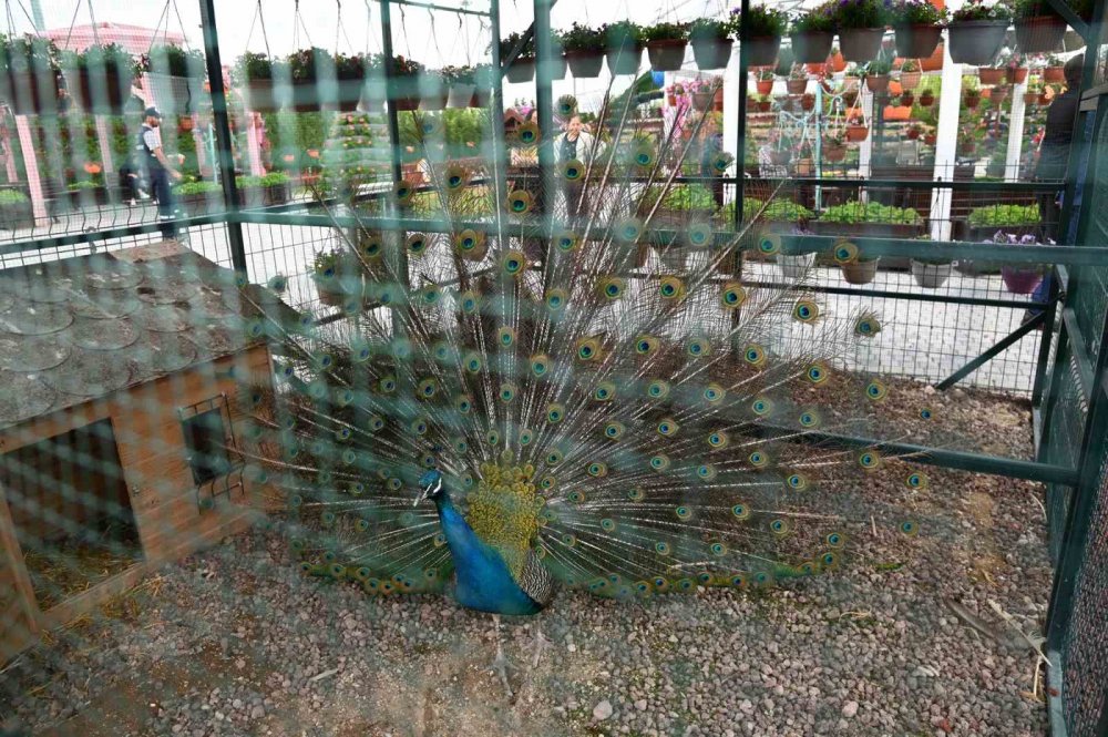 Konya'nın gözde mekanı 400 bin çiçekle kapılarını açtı