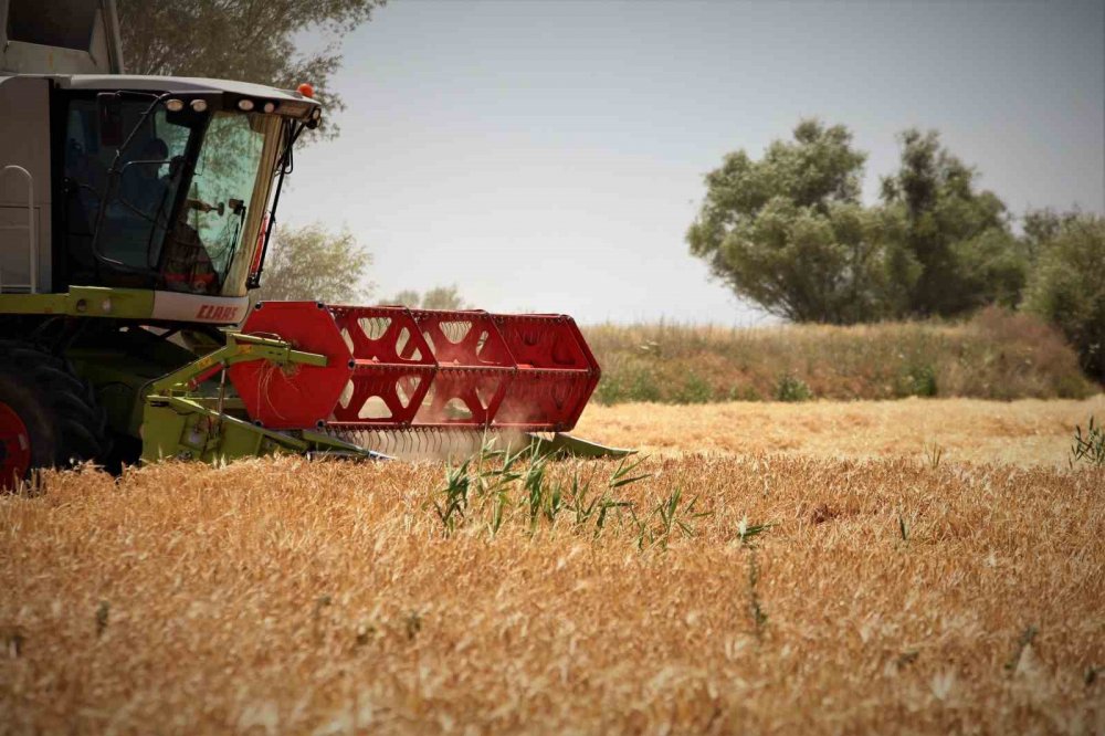 Konya Ovasında hasat sezonu yaklaşırken çiftçilere uyarı geldi