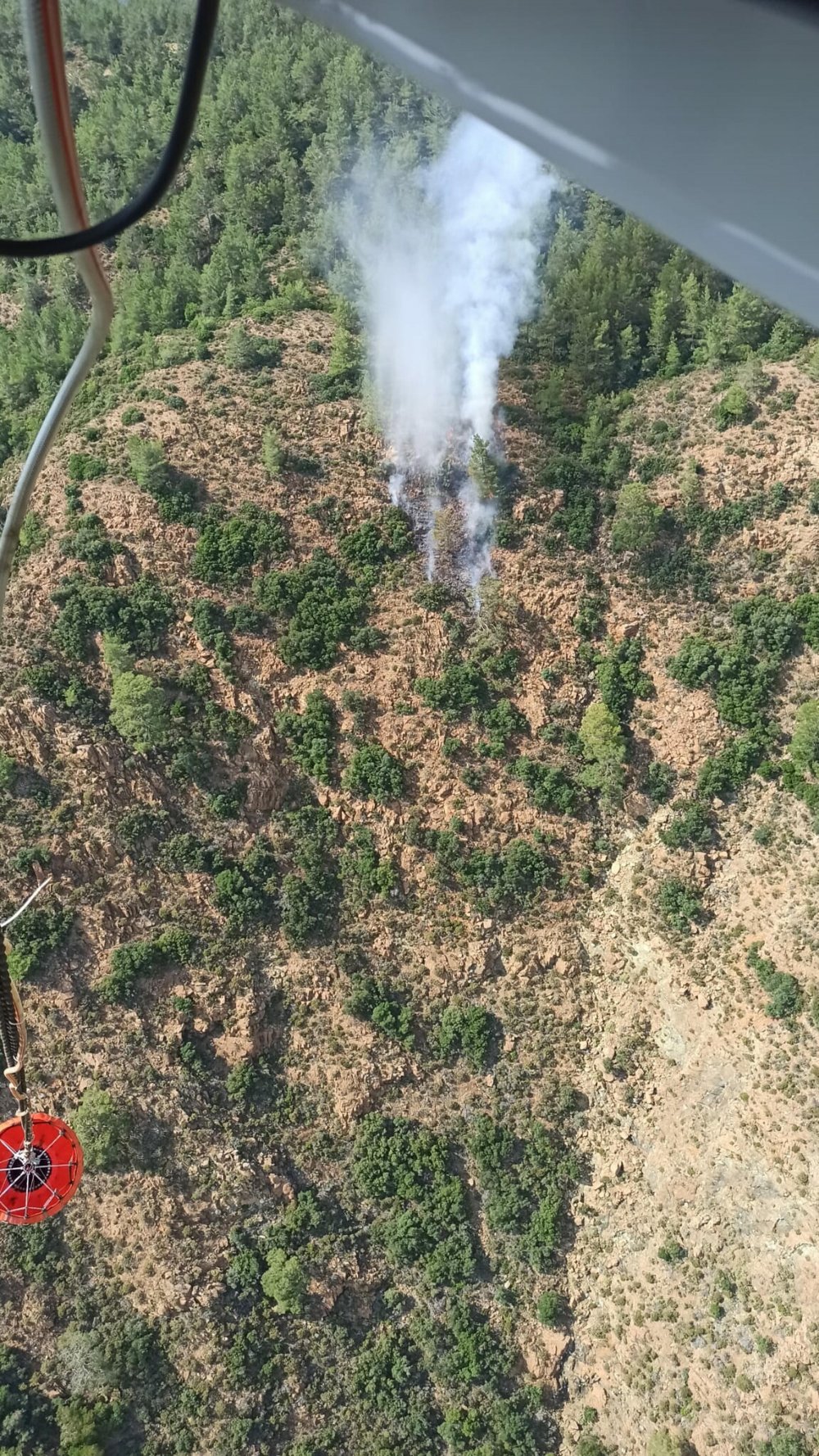 Marmaris'te orman yangını
