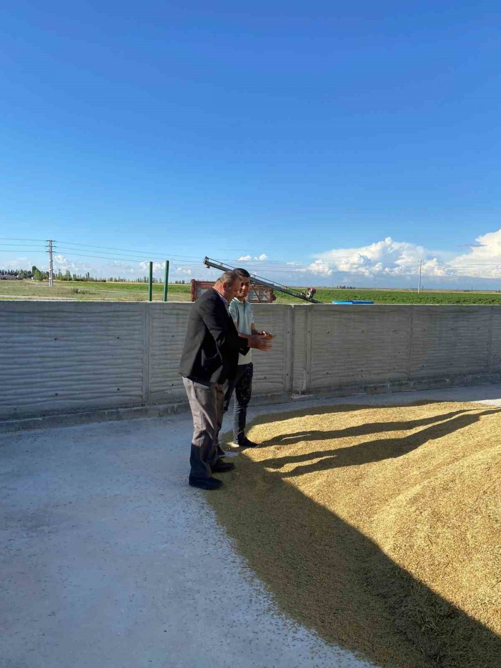 Konya'da arpa hasadına başlandı