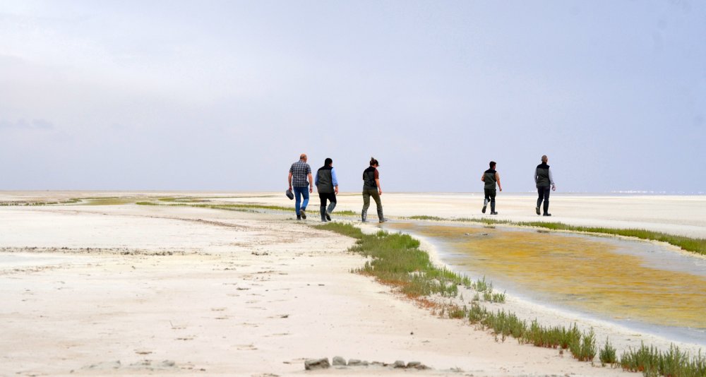 Tuz Gölü’nün yavru flamingoları