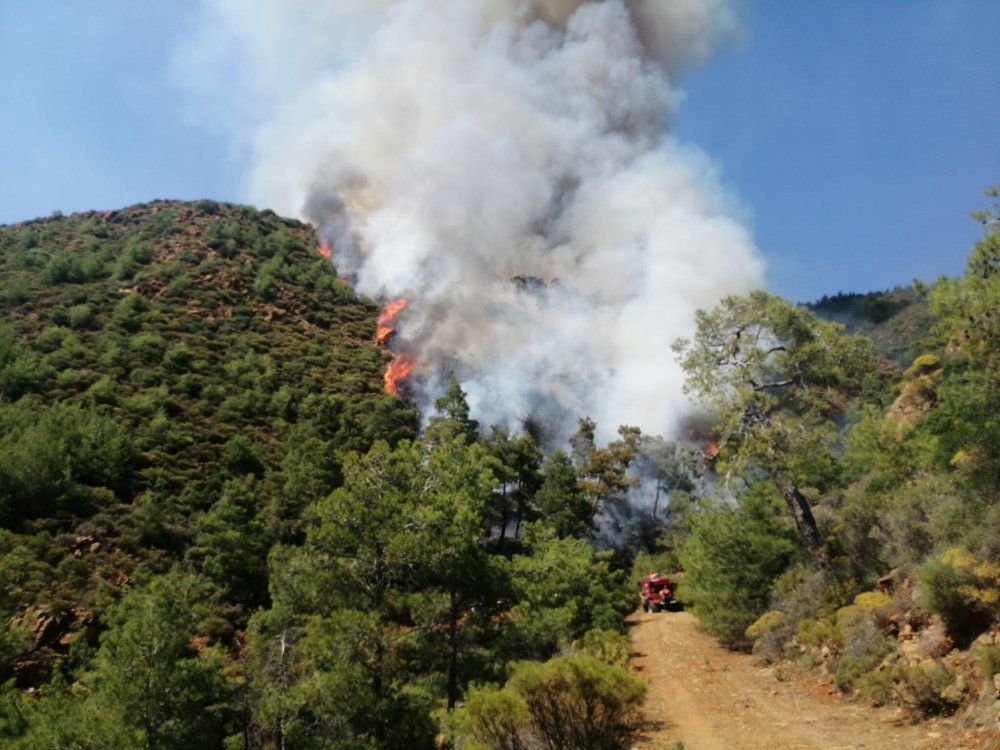 Yanan ormandaki ceset, bakın kim çıktı!