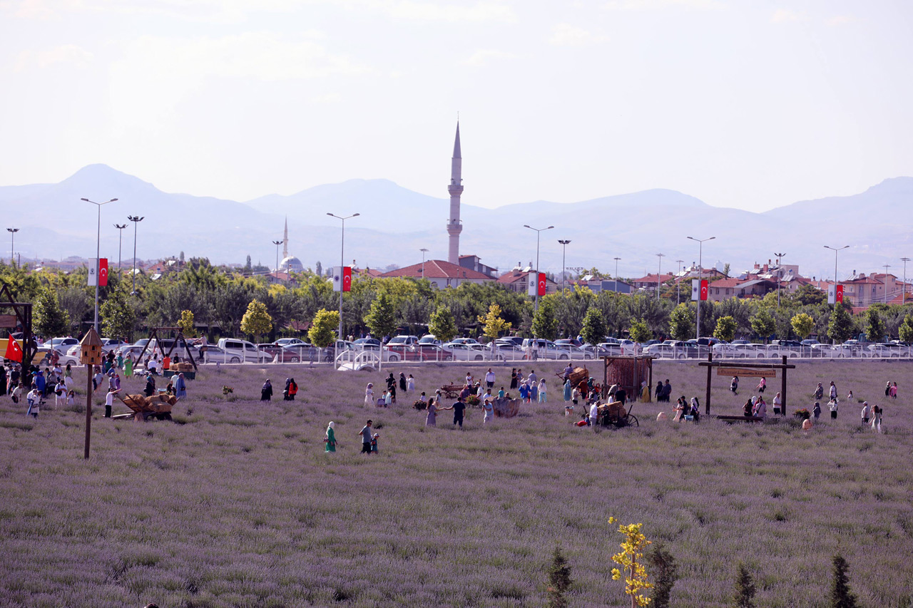 karatay-lavanta-bahcesi-gul-bahcesi-4.jpg