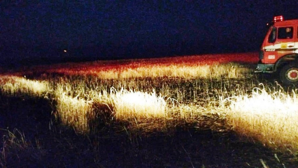 Konya’da 5 dekarlık alan yanarak kül oldu