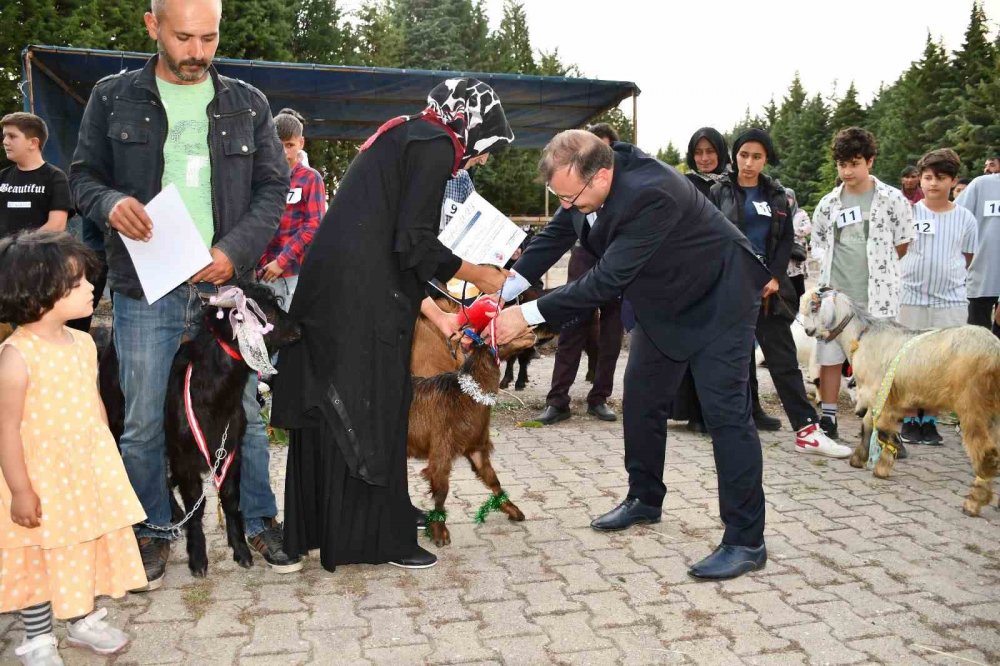 Oğlaklar podyuma çıktı