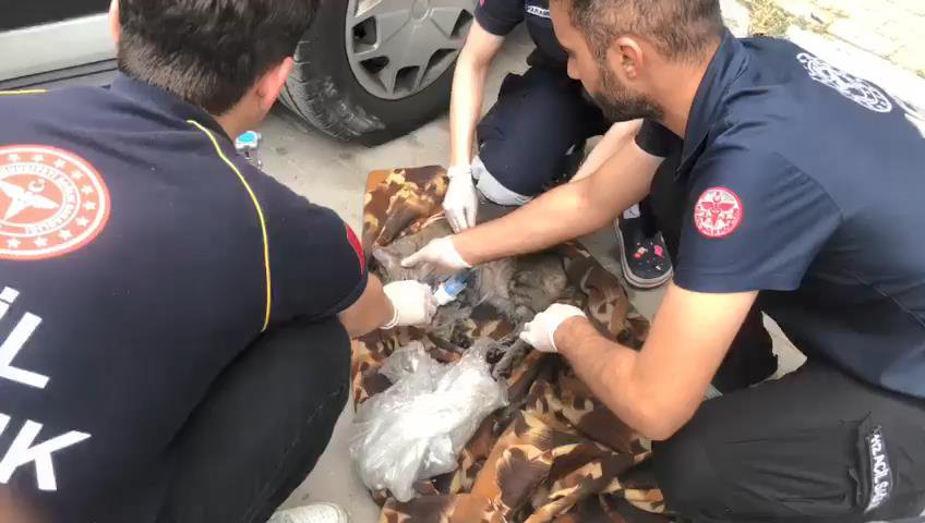 Yangında 7 kişi kurtarıldı