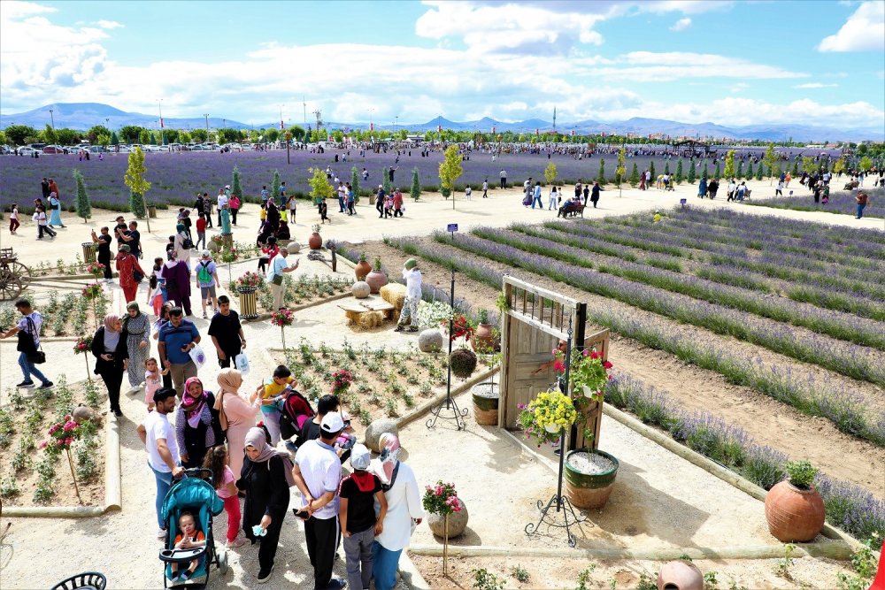 Karatay Lavanta Günleri 2 günde yüzbinleri ağırladı
