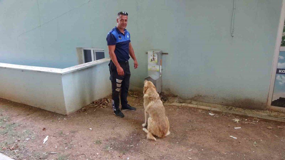 Sıcaklık arttı, belediyeden anonslu uyarı geldi