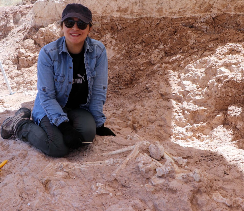 Çoban tarafından buulundu! Tam 7,5 milyon yıllık