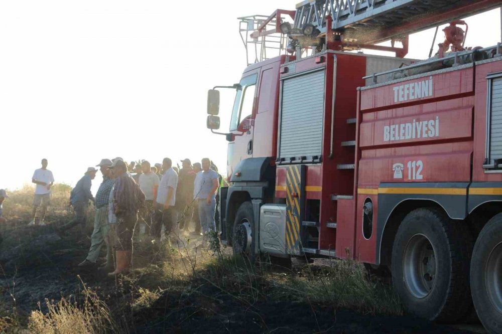 Elektrik direğinden sıçrayan kıvılcımlar 8 dönüm araziyi kül etti