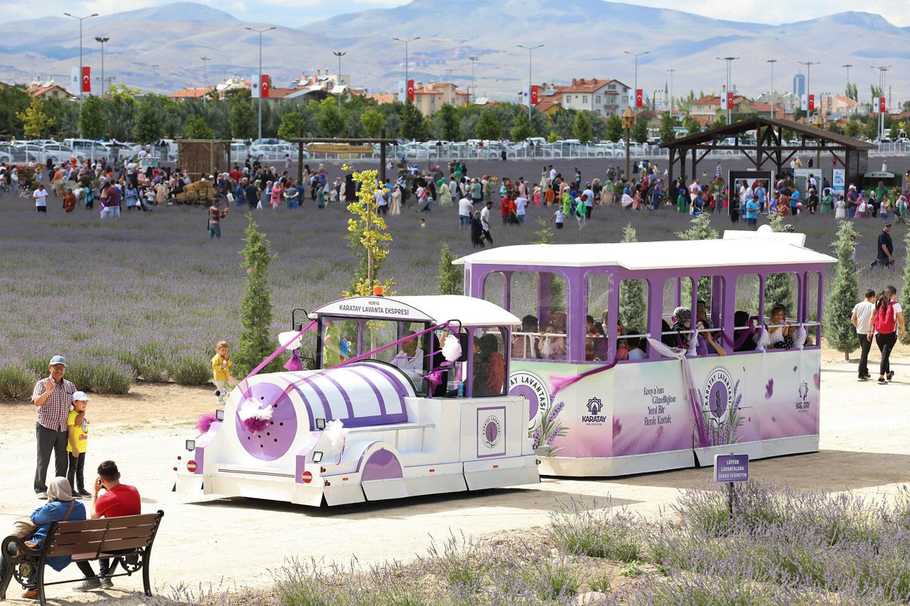karatay-lavanta-gunleri-yogunluk-2.jpg