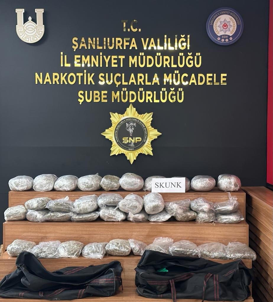 32 kilo 600 gram skunk ele geçirildi