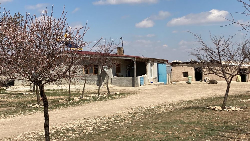 Konya'daki anne bebeğini öldürmüştü! Cezası belli oldu