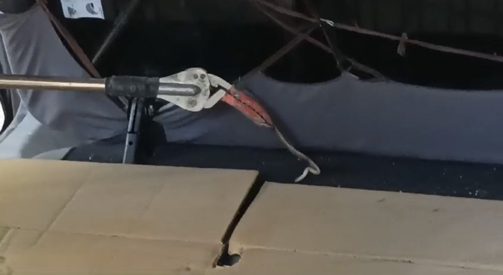 Öyle bir hayvan vardı ki! İtfaiye seferber oldu