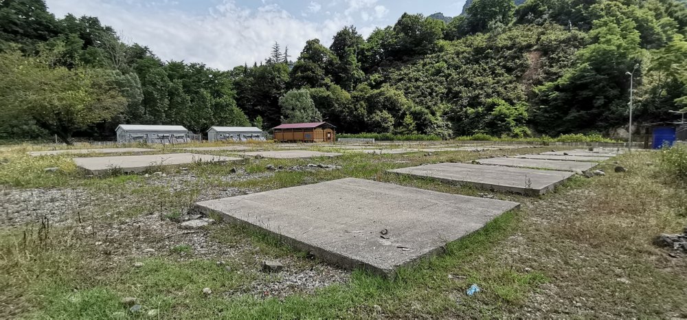 'Asrın felaketi’, fındığı da vurdu