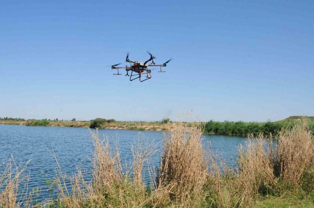 Konya'da kronomid sineğine dron ile mücadele