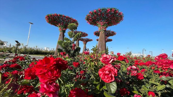 Konyalıların yeni tercihi... "Belediye harika iş çıkarıyor"