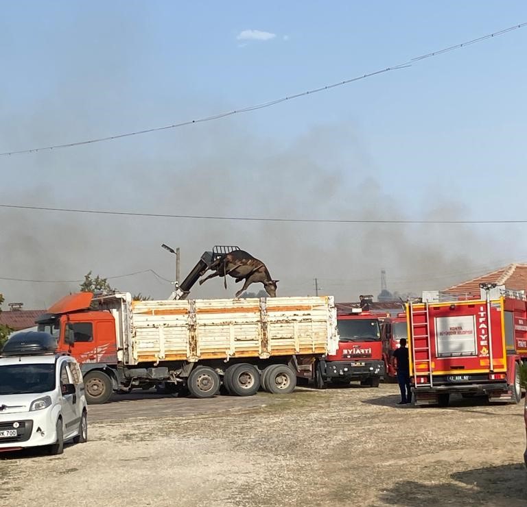 konyada-feci-yangin-cok-sayida-buyukbas-hayvan-telef-oldu-002.jpg