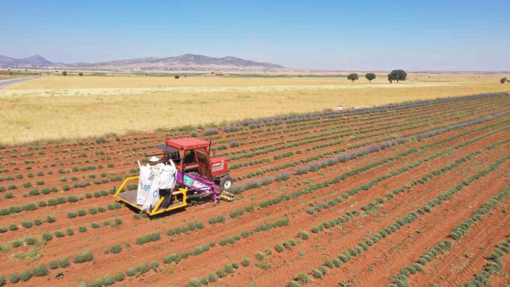 Konya'daki ilçenin geçim kaynağına yeni alternatif! 3 yıldır kazanç sağlıyorlar
