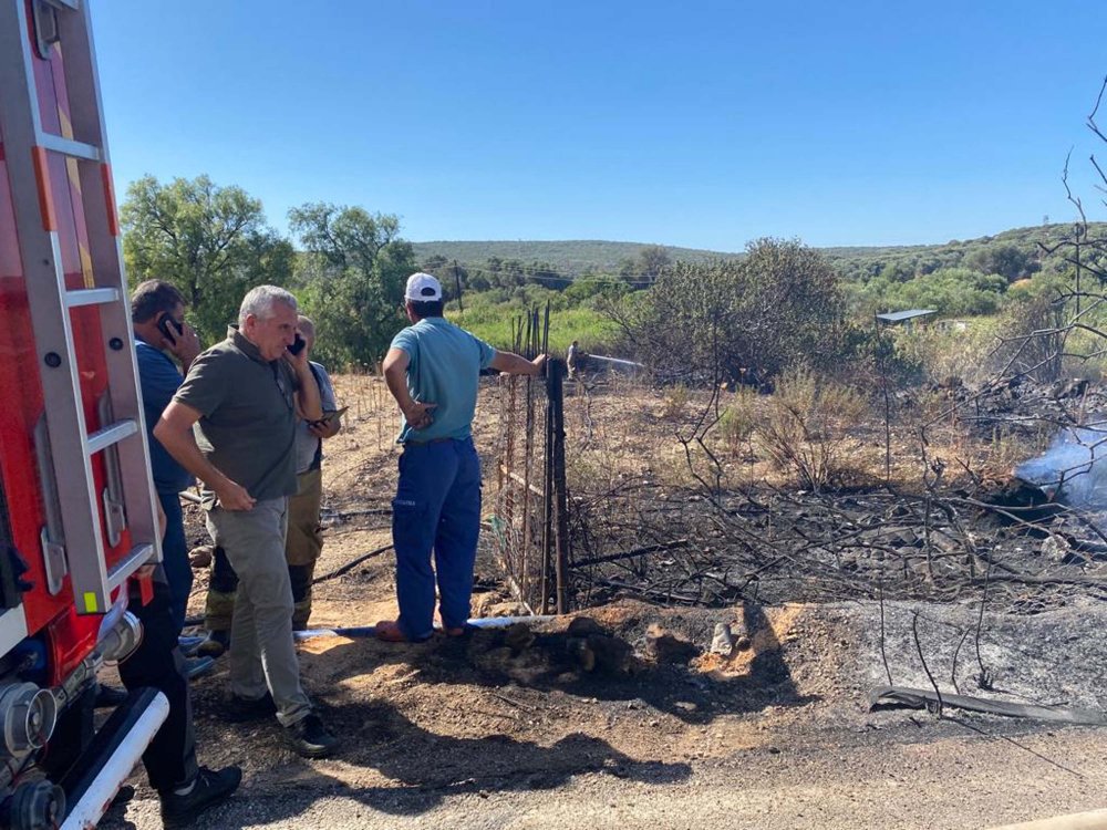 Bir orman yangını daha!