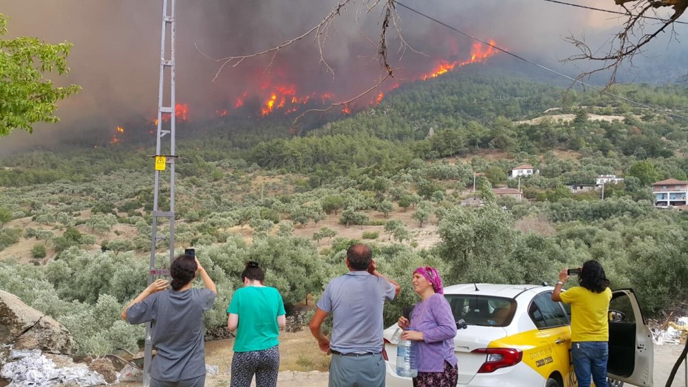 Yakın tarihin en büyük orman yangınıydı... Yanan alanlar tekrar yeşeriyor