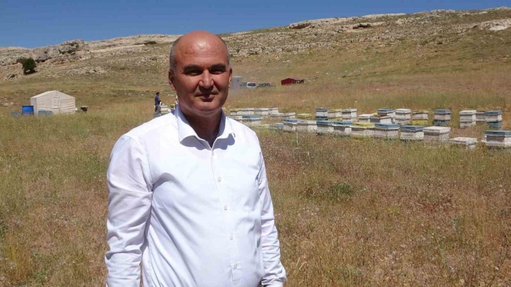 Endemik bitkili zengin florada üretilen yayla balı sağıldı... Veriler Konya ile paylaşılıyor