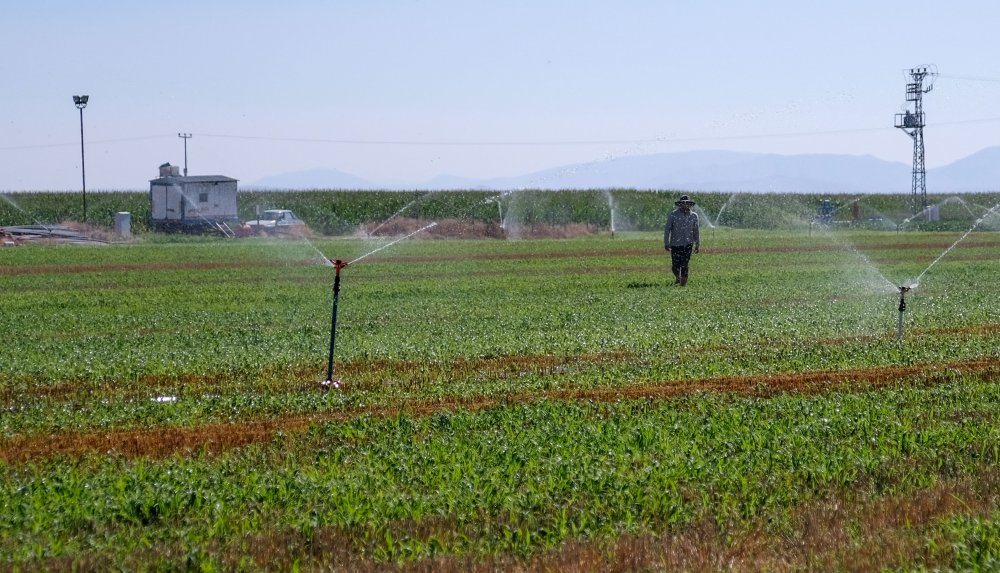 Konya Ovası'nda su gerçeği! 30 yıl önce 30 metreydi şimdi ise..
